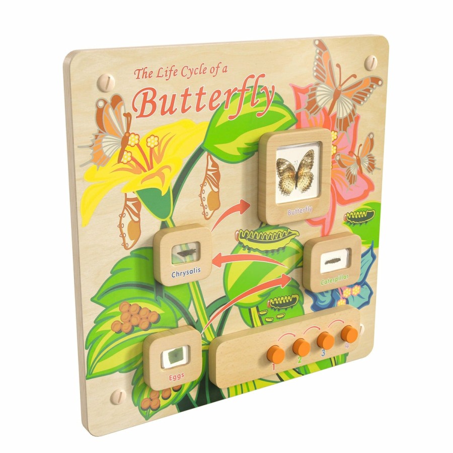 Classroom FLASH Stem Learning Systems | Bright Beginnings Commercial Grade Wooden Butterfly Life Cycle Steam Wall Accessory Board